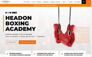 Headonboxing.ie Screenshot 2024-06-29 15:50:04