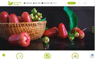 Vuatraicaymientay.com Screenshot 2024-06-27 08:17:44