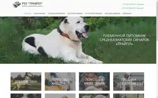 Caotriple.by Screenshot 2024-04-22 19:25:19