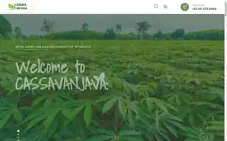 Cassavanjava.com Screenshot 2024-05-19 00:51:10