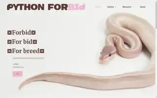 Pythonforbid.com Screenshot 2024-05-27 05:11:49