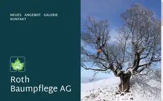 Roth-baumpflege.ch Screenshot 2024-07-02 20:00:24
