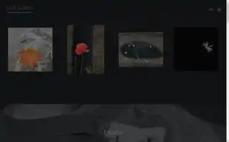 Luisvallejo.com Screenshot 2024-07-02 18:58:03