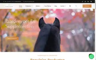 Denbravenequifood.nl Screenshot 2024-05-25 14:22:02