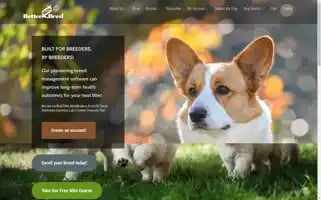 Betterbred.com Screenshot 2024-07-05 01:49:22