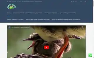 Williestourscostarica.com Screenshot 2024-04-17 16:11:15