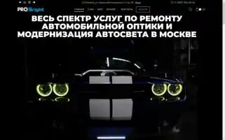 Probright.shop Screenshot 2024-06-11 19:51:02