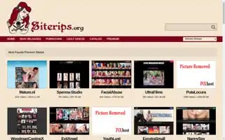 Siterips.org Screenshot 2024-06-14 00:00:26