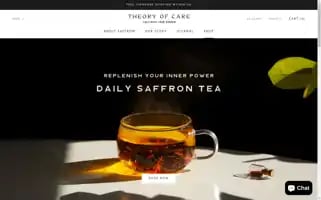 Theoryofcare.com Screenshot 2024-05-04 10:10:11