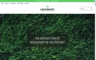 Groundingofficial.com Screenshot 2024-04-24 05:43:33