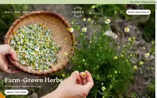 Goodflowerfarm.com Screenshot 2024-05-05 21:50:28