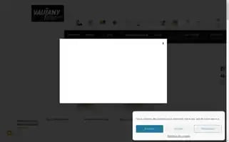 Vaujany.com Screenshot 2024-07-02 18:24:00