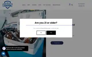 Gamedaydelivers.com Screenshot 2024-05-21 12:21:03