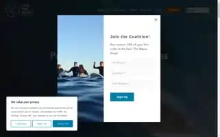 Savethewaves.org Screenshot 2024-07-10 04:53:25