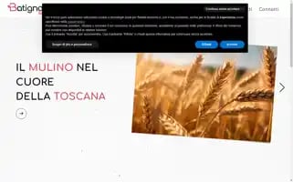 Batignani.it Screenshot 2024-06-17 17:26:28