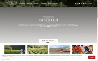 Castillon-cotesdebordeaux.com Screenshot 2024-06-11 19:07:30