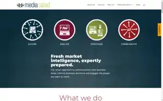 Mediasalad.com Screenshot 2024-06-30 17:32:22