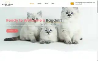 Allpawsparadisehub.com Screenshot 2024-05-29 10:40:37