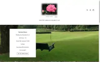 Oldsouthcamellias.com Screenshot 2024-04-18 11:01:27