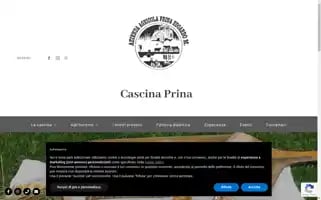 Cascinaprina.com Screenshot 2024-05-19 10:52:32