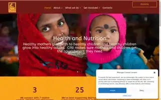 Cini.org.uk Screenshot 2024-07-01 02:51:40