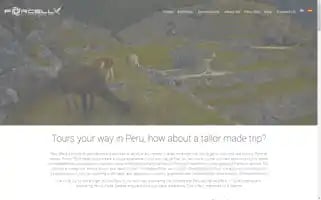 Porcelltoursperu.com Screenshot 2024-04-15 13:45:41