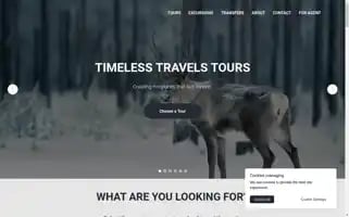 Timelesstravels.tours Screenshot 2024-04-24 05:34:08