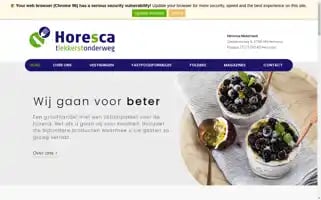 Horesca.nl Screenshot 2024-07-03 16:34:42