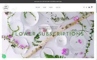 Oneolive.net Screenshot 2024-06-12 16:49:53
