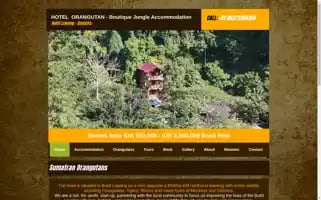 Orangutanhotel.com Screenshot 2024-04-19 07:55:05