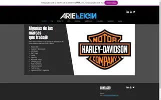 Arielfeigin.com Screenshot 2024-06-18 12:40:13