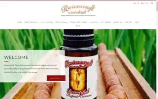 Ravenscroftescentials.com Screenshot 2024-05-05 12:36:55