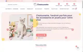 Chatounette.com Screenshot 2024-06-26 13:06:33