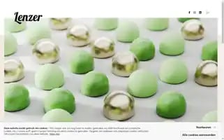 Lenzer.be Screenshot 2024-07-04 13:58:46