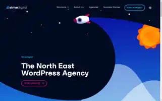 Strive.digital Screenshot 2024-06-28 09:10:52