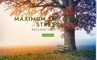Maximumlifezerostress.com Screenshot 2024-05-20 00:06:04