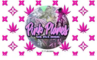 Pinkplanes.com Screenshot 2024-06-18 18:28:20