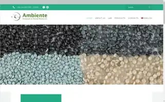 Ambiente-sa.com Screenshot 2024-06-13 18:08:00
