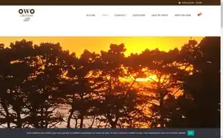 Owocreations.fr Screenshot 2024-05-19 12:57:32