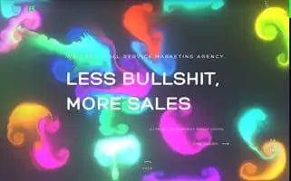 Bellevuemarketing.agency Screenshot 2024-06-27 11:12:15