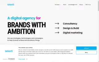 Selesti.com Screenshot 2024-06-30 10:23:28