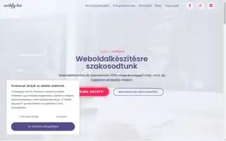 Webfy.hu Screenshot 2024-06-17 16:40:20