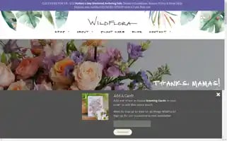 Wildfloradesign.com Screenshot 2024-05-04 21:37:55