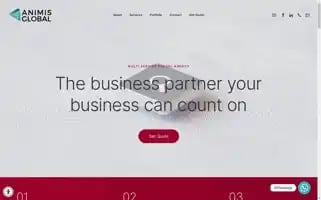 Animisglobal.com Screenshot 2024-06-18 13:33:20