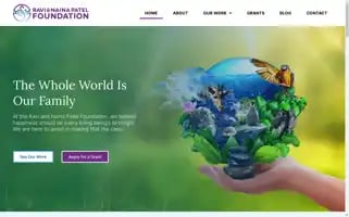 Rnpfoundation.org Screenshot 2024-07-06 06:04:28