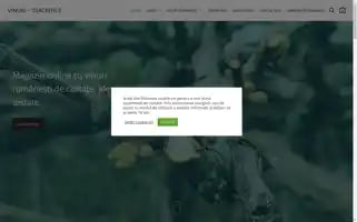 Vinuricudiacritice.ro Screenshot 2024-05-19 02:56:49