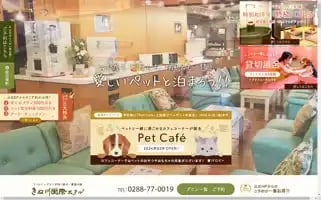 Kinugawakokusaihotel.co.jp Screenshot 2024-04-14 10:17:43