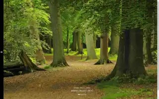 Amnapc.top Screenshot 2024-06-15 03:13:59