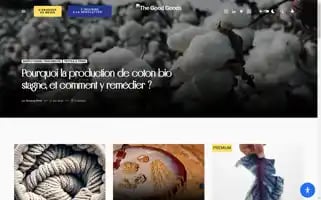 Thegoodgoods.fr Screenshot 2024-06-18 04:46:34