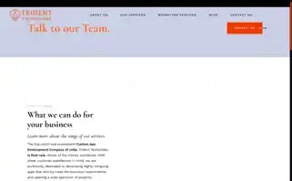 Tridenttechnolabs.com Screenshot 2024-06-26 10:38:49